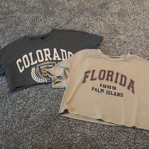 SHEIN Gray and Cream Crop Tops